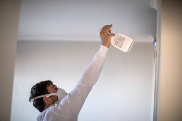 Best Commercial Mold Removal  in Livingston, LA