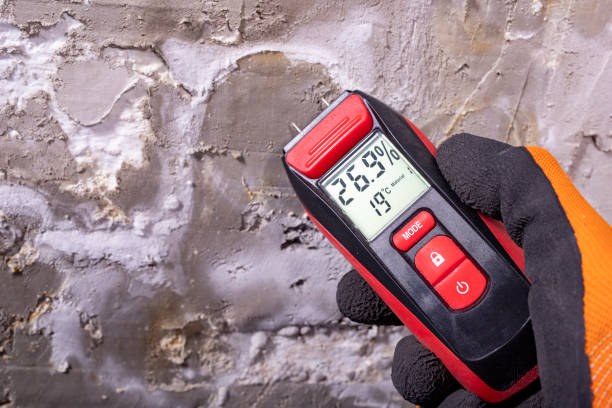 Best Best Mold Removal Companies  in Livingston, LA