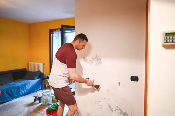 Best Mold Removal Company Near Me  in Livingston, LA